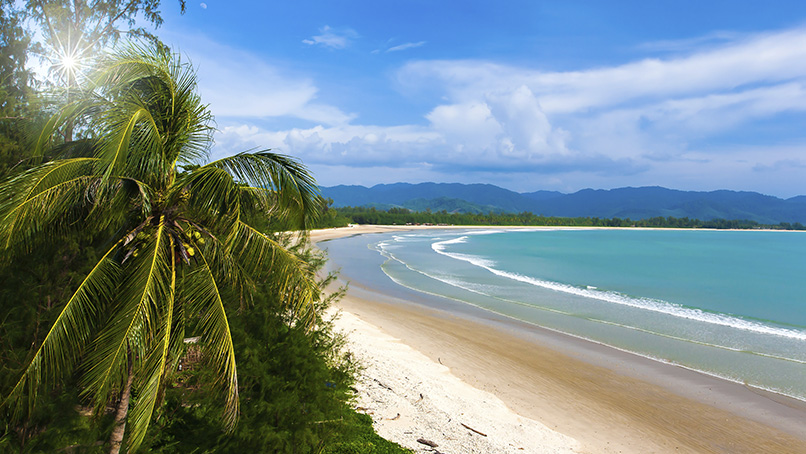 Palm-fringed sweep of Andaman coast beach